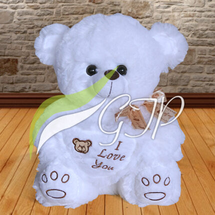 White Teddy Bear